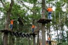 forest4fun-300