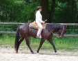 westernreiten